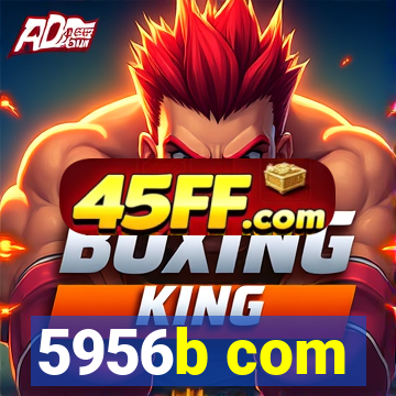 5956b com